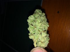 User uploaded image of Marley's Collie