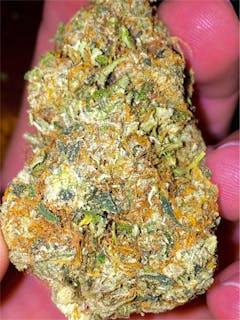 User uploaded image of Martian Mean Green