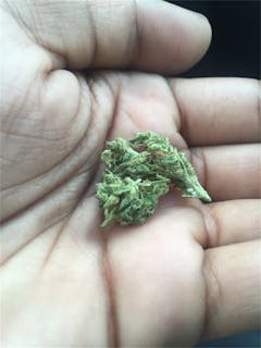 User uploaded image of Martian Mean Green