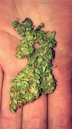 User uploaded image of Martian Mean Green