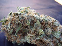 User uploaded image of Martian Mean Green