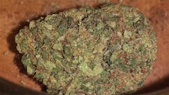 User uploaded image of Martian Mean Green