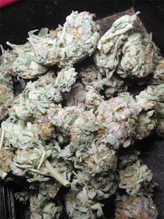 User uploaded image of Master Bubba