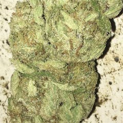 User uploaded image of Master Bubba