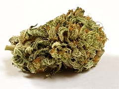 User uploaded image of Master Bubba