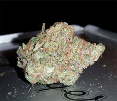 User uploaded image of Master Bubba