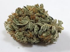 User uploaded image of Master Bubba