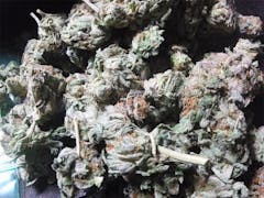 User uploaded image of Master Bubba