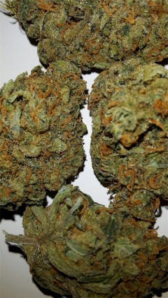 User uploaded image of Master Kush