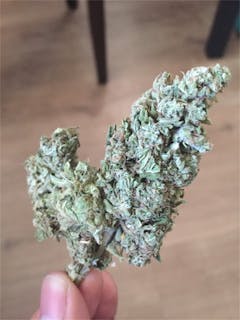 User uploaded image of Master OG