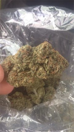 User uploaded image of Master Skunk