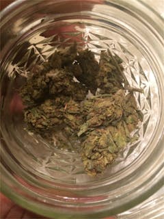 User uploaded image of Master Skunk