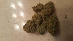 User uploaded image of Master Skunk