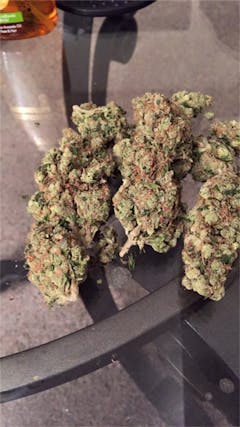 User uploaded image of Master Skunk