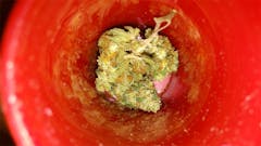 User uploaded image of Master Yoda