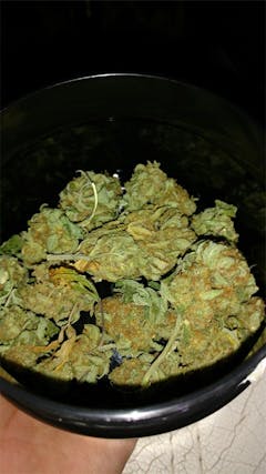 User uploaded image of Master Yoda