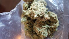 User uploaded image of Master Yoda