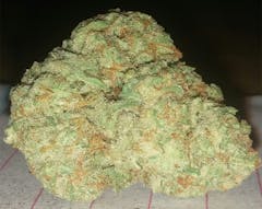 User uploaded image of Master Yoda