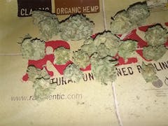 User uploaded image of MTF