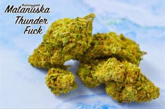 User uploaded image of MTF