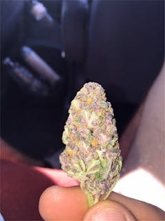 User uploaded image of MTF