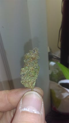 User uploaded image of MTF