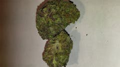 User uploaded image of Mataro Blue