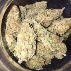 User uploaded image of Mataro Blue