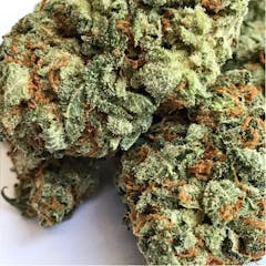 User uploaded image of Mataro Blue