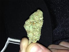 User uploaded image of Maui Berry