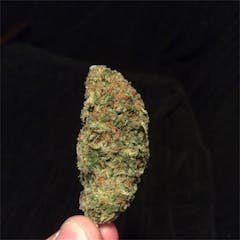 User uploaded image of Maui Berry