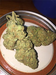 User uploaded image of Maui Haole