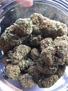 User uploaded image of Maui Mango Diesel