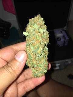 User uploaded image of Maui Mango Diesel