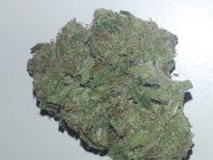 User uploaded image of Maui Mango Diesel
