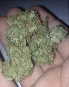 User uploaded image of Maui Mango Diesel