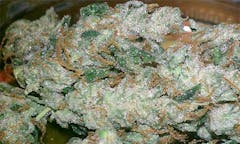 User uploaded image of Maui Mango Diesel