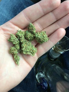 User uploaded image of Maui