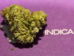 User uploaded image of Mazar I Sharif