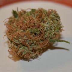 User uploaded image of Mazar Kush