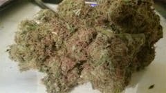 User uploaded image of Mazar Kush