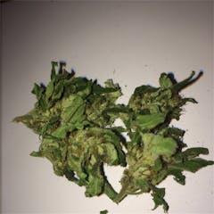User uploaded image of Mazar Kush