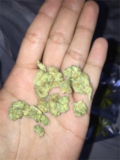 User uploaded image of Medibud