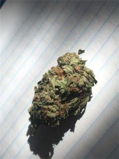 User uploaded image of Medibud