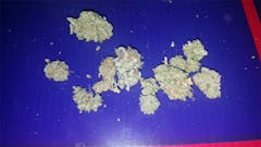 User uploaded image of Medibud