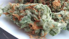 User uploaded image of Medibud