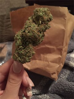 User uploaded image of Medibud