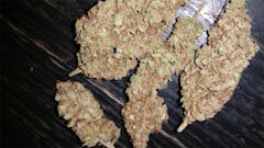 User uploaded image of Medicine Man