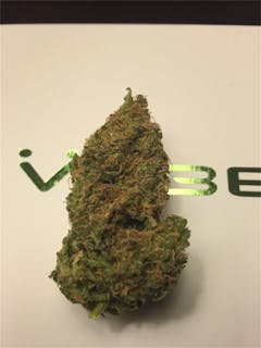 User uploaded image of Medicine Man