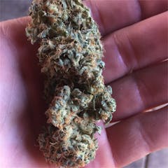 User uploaded image of Medicine Woman